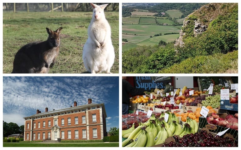 discover-hambleton-monk-park-farm-sutton-bank-beningbrough-hall